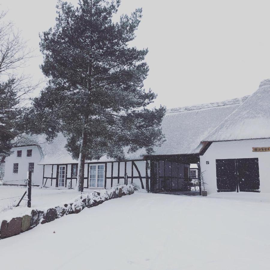 Baekgaarden 3 Rooms Apartment - Old Farm House Odense Exterior foto